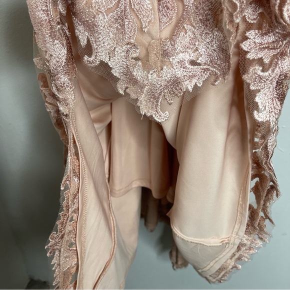 TADASHI SHOJI EVOTA LACE HANDKERCHIEF HEM COCKTAIL DRESS ANTIQUE PINK Size 4 NWT - Picture 11 of 17